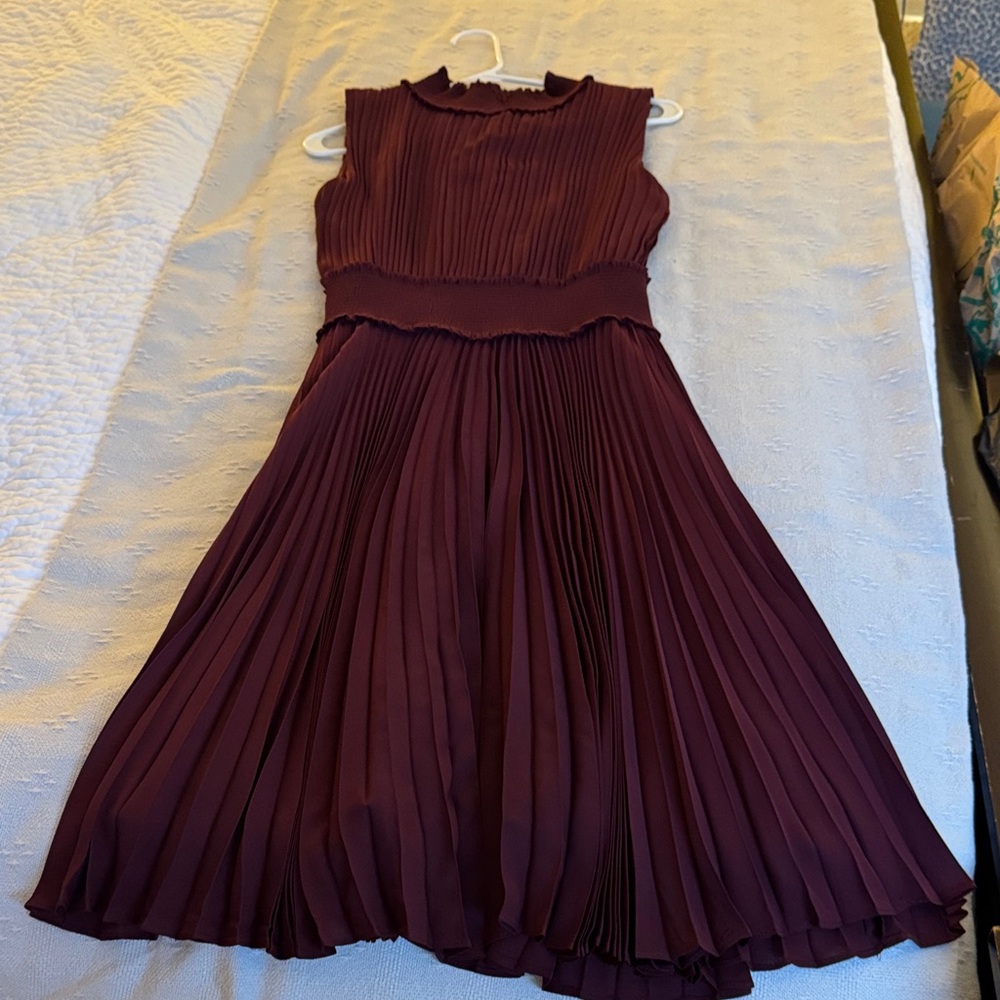 Elegant Burgundy Pleated Dress